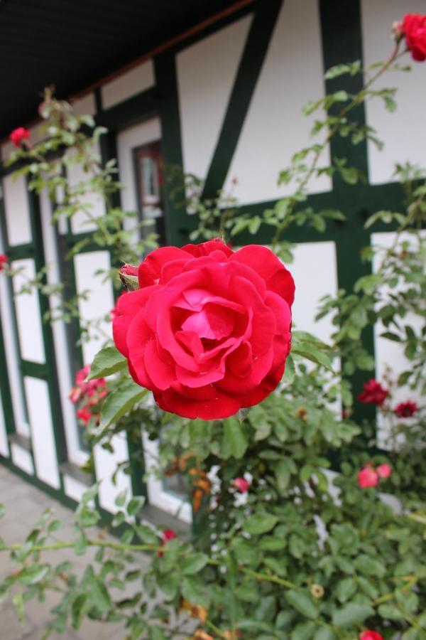 Gemuetliches Fachwerkhaus Im Herzen Nideggens Apartment Exterior foto